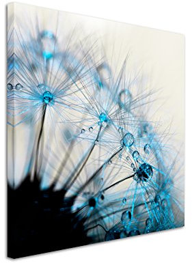 Paul Sinus Art Quadratische Fotoleinwand 90x90cm Naturfotografie – Makroaufnahme einer Pusteblumen auf Leinwand exklusives Wandbild moderne Fotografie für ihre Wand in vielen Größen