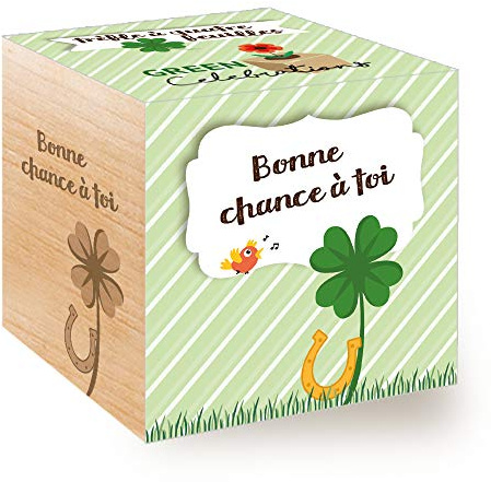 Feel Green Celebrations Ecocube, Trèfle À Quatre Feuilles, Avec Un Message Gravé De Haute Qualité: Bonne Chance À Toi, Idée Cadeau (100% Ecologique),Plantes dans des Cubes en Bois 7.5cm,