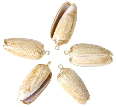 Coquilles de mer Coquilles de mer mixtes, Coquillages for l'artisanat 10 pièces/ensemble coquillages naturels artisanat en métal ornements for pendentif coquillages collier pendentif fabrication de pe