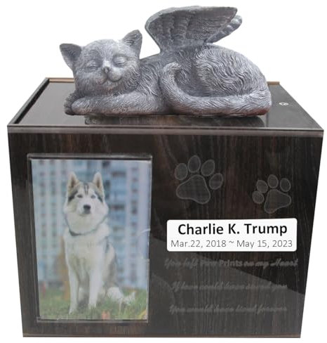 Urne funéraire en acrylique Cadre photo Sac à cendres Boîte à souvenirs flanelle noire Cadeau commémoratif pour animal domestique