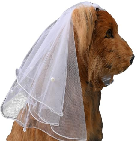 AWOCAN Schleier für Hunde Katze Haustier Schleier Kleid Braut Kostüm Schleier für Valentinstag Hochzeit Party Dekoration Hund Haar Schleife Clips Haarnadel Kopfbedeckung Hund Haarschmuck (Weiss-2)