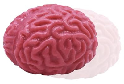 TyCylKu 3 Stück Gehirn Stressball Latexmaterial 7x6x5cm Anti Stressball Gehirn, Nachgebildetes Gehirns Antistressbälle, Realistische Squishy Spielzeuge, Gefälschte Orgel, Fördert Gesundes Denken