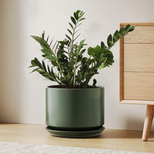 LE TAUCI Ceramic Pots for Plants, 25 cm Plant Pot with Drainage Hole & Saucer, Sturdy & Modern Planters for Indoor Plants, Includes Mesh Screen, Fits Snake Plant & Monstera, Green