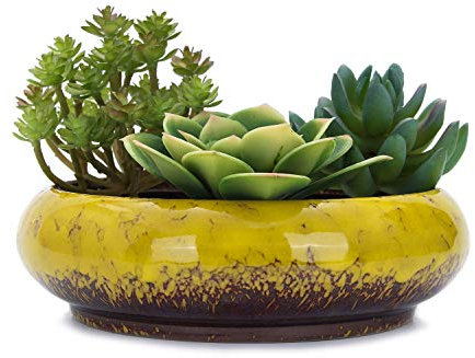 VanEnjoy. Macetas de cerámica esmaltada, Redondas, Grandes, Poco Profundas, para Plantas suculentas, 18,5 cm, con Orificio de Drenaje, macetas de bonsái, Decorativas, para jardín, Cactus (Amarillo)