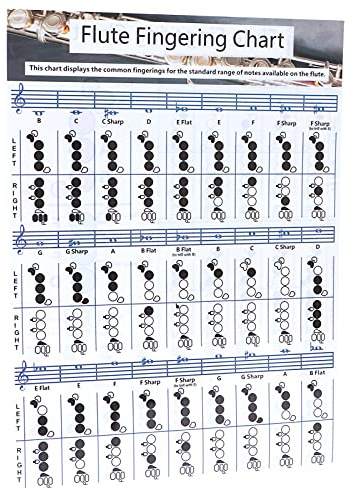 Akkorddiagramm für Flötengriffe, Anfänger, Schüler, Praxis, Unterrichtsinstrument, Professionelles Zubehör (Flötengrifftabelle für Trompete (28 * 21cm))