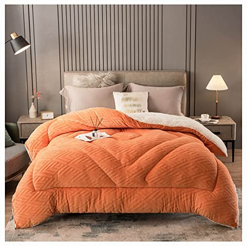 BDMFJY Agnello Cashmere Morbido e Velluto Tessuto di Lana Caldo Inverno Trapunta Addensare Piumino piumone Coperta Matrimoniale Queen Size, Lavabile in Lavatrice,D,150x200cm(2.5kg)