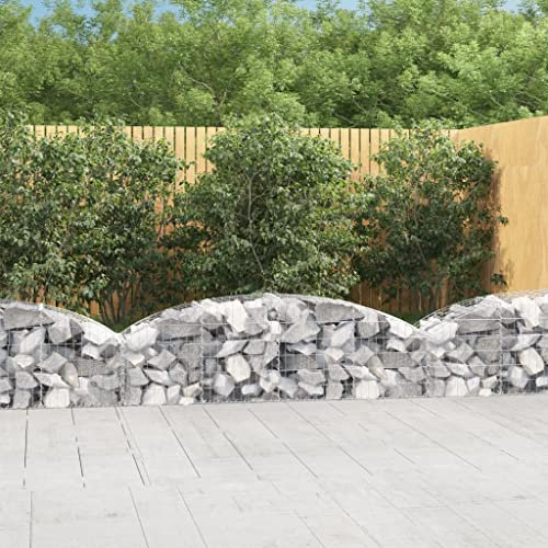 Fioriere da Giardino Cassette per la Coltivazione di Ortaggi Cesto Gabbione ad Arco 200x50x40/60 cm Ferro Zincato Adatta per Corridoi, Giardini, Parchi, Balconi