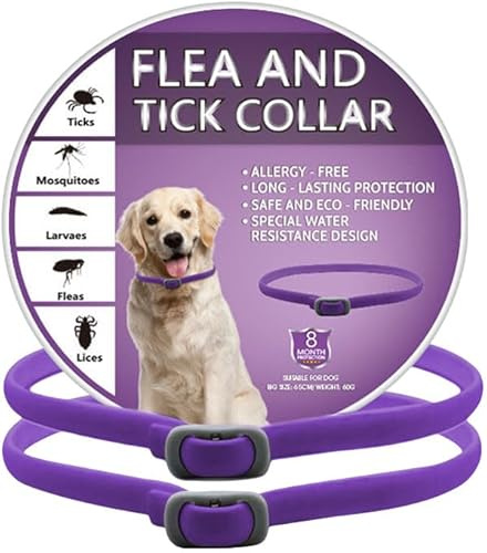 2 piece Collar Dog, Collars for Dogs, Soft & Lightweight Dog Collar for Everyday Wear, Safe Waterproof Adjustable, One Size Fits All, purple