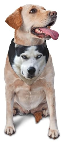 Husky's Handsome Face Dog FunnyDog Bandanas Cat Puppy Schals Waschbares Haustier-Taschentuch