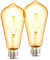 B.K.Licht Set de 2 ST64 Edison Vintage Bombilla I E27 4W 2700K 380lm I Blanco cálido I Bombilla LED I Bombilla retro I Filamento