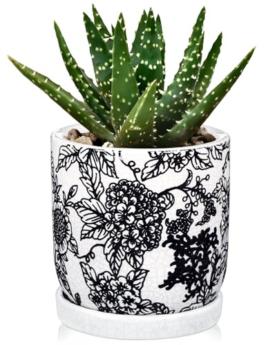 Hollyone Blomkruka med underlägg och dräneringshål, keramiska blomkrukor, runda ytterkrukor för inomhusväxter, suckulenter, kruka för utomhus, trädgård, växtkruka 14 cm, svart