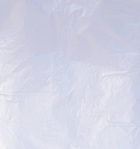 El Natural - Produkte aus der Natur 100 Blatt - Schlagaluminium lose 16 x 16 cm zum Versilbern Blattmetall