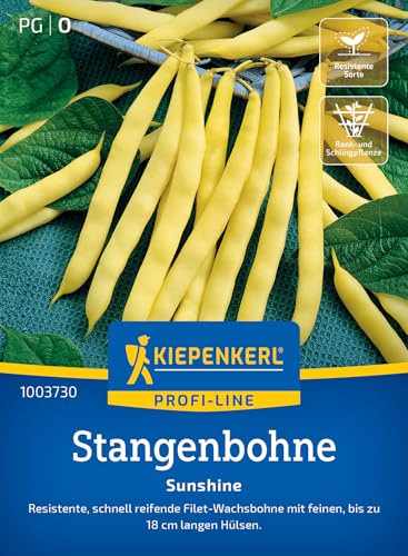 Kiepenkerl Stangenbohnensamen Sunshine 1003730, Gemüsesaat | Resistente Gemüsesamen mit bis zu 18 cm langen Hülsen, Inhalt für 10 Stangen, Wuchshöhe 200-300 cm, fadenlos
