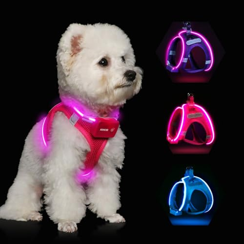 Feycig Leuchtend Hundegeschirr LED Aufladbar - Leuchtgeschirr Leuchtendes | Reflektierendes für Welpe Klein Mittlere Hund, Brustgeschirr Hundegeschirr, Atmungsaktiv Leucht Geschirr (Pink, Small)