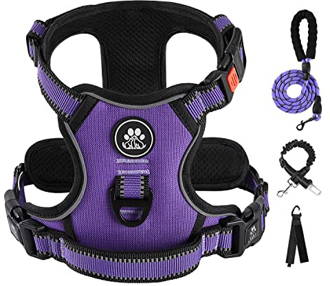 IVY&LANE No Pull Dog Harness for Small Dogs, Dog Vest Harness with Leash, Safety Belt and Storage Strap, Fully Adjustable Harness, 360° Reflective Strip, Soft Handle (Purple, S)