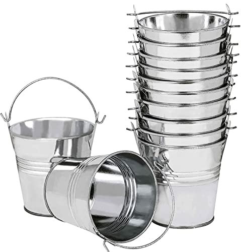 LATERN 12 Pezzi Mini Vasi da Fiori Sospesi in Metallo, 6CM Vasi per Piante Secchio di Fiori Sospeso con Manico Staccabile per Decorazione della Casa del Giardino del Recinto del Balcone (Argento)