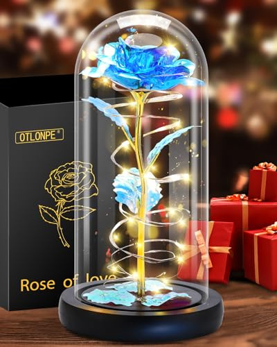 Otlonpe Mothers Day Flowers Gifts for Mum from Son Daughter - 7.6'' Birthday Gifts for Women Grandma Nanny, Forever Glass Rose Preserved Flower Love Gift for Valentines Christmas