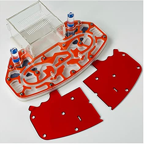 Acryl Ameisenfarm Große Größe 24*18cm Ameisennest Display Box Formicarium Fütterungshaus Für Ameisen Insekten Ant Nest Züchten Haus Ameisen Farmen Set Villa Mit Eingebauter Arena ( Color : Orange )