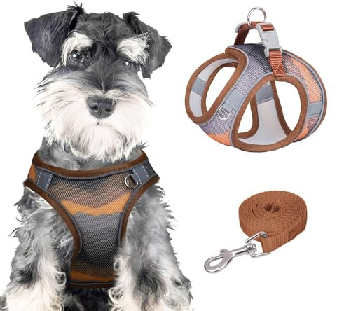PawSailor Anti-Zug-Hundegeschirr-Leinen-Set, Verstellbar, Step-In, Atmungsaktiv, Leicht, Mit Druckmuster, Ausbruchsicheres Hundegeschirr, Reflektierend, Für Alle Jahreszeiten, Braun, M