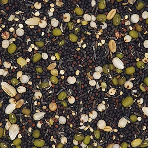 Versele Keimfutter für Kanarien Prestige 20kg