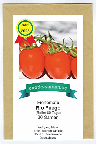 Strauchtomate – Rio Fuego – für Soßen und Pastas – 30 Samen