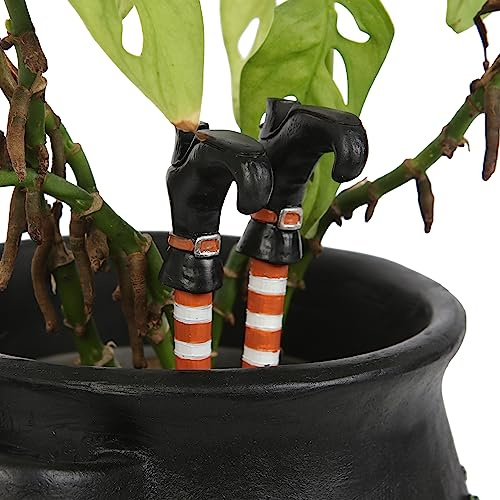 Something Different Wholesale Enchant your Home with a Set of 2 Secret Witch Leg Plant Pot Ornaments and Wickedly Charming Home Decor