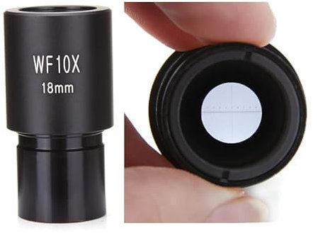 Mit Mikrometer-Mikroskop-Okulare für biologische Mikroskop-Objektivteile Zubehör Weitfeld-Okularlinse (Farbe: Wf16x und Mikrometer)