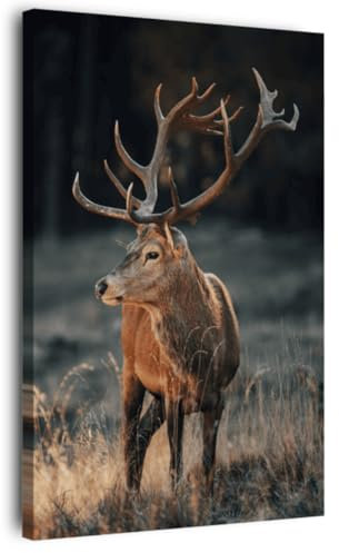 Ceanothe Tableau sur toile cerf sauvage 30x45 cm Décoration Murale Art Décoratif Muraux Peinture Imprimée en HD Salon Chambre Bureau Bois de Forêt FSC Fabriqué en France