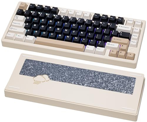 KEEBMONKEY WOBKEY Rainy 75 CNC Aluminio HMX/JWK/Cocoa Switches Teclado mecánico de conectividad de Triple Modo con acústica Superior(Pro Blanco)