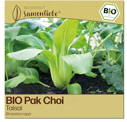Samenliebe BIO Pak Choi Samen | Taisai - Chinakohl - Asia-Kohl - samenfestes BIO Saatgut