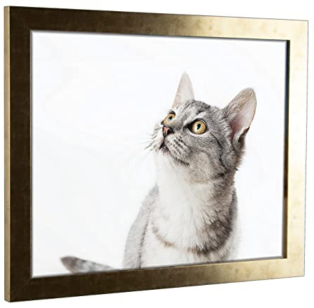 myposterframe Komfort Juno 70 x 90 cm Rahmen Gold antik
