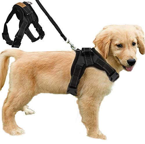 FUNKEEN PET HOUSE No Pull Dog Vest Harness Padded Adjustable Dog Chest Strap for Outdoor Walking Travelling Traning Assistance (M, Black)