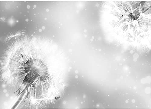 Runa Art Fototapeten 396 x 280 cm Blumen Pusteblume - Vlies Wanddekoration Wohnzimmer Schlafzimmer - Deutsche Manufaktur - Schwarz Weiss 9401012c