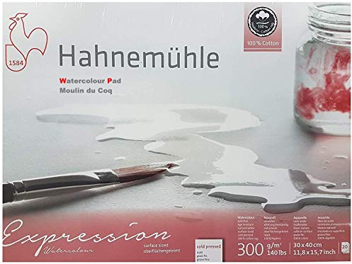 Hahnemühle Aquarellkarton Expression,100% Baumwolle, matt, 300 g/m², 30 x 40cm, 20 Blatt, made in Germany