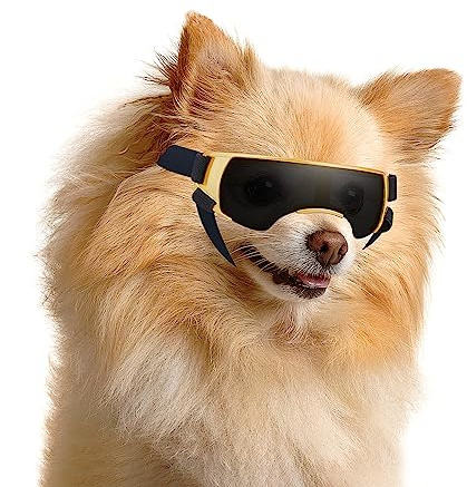 Enjoying Occhiali da sole per cani di piccola taglia, protezione UV, antivento, antinebbia, per animali domestici, oro