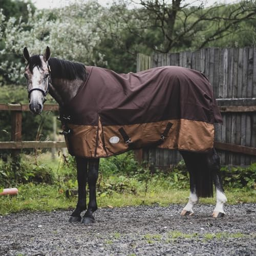 Equitack 1200D Winterdecke Pferd, 155cm | Regular Regendecke Pferd mit Fleece Lining | wasserdichte Outdoordecke Pferd | Dark Brown/Light Brown