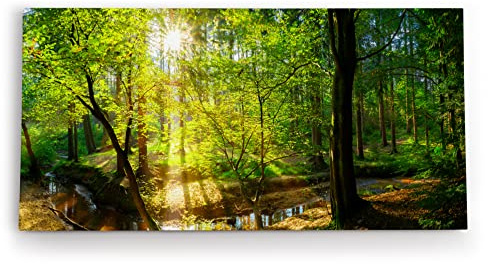 Paul Sinus Wandbild auf Leinwand 100x50 cm zeigt eine sonnendurchflutete Waldszene mit einem kleinen Bach, der sich sanft durch den Wald schlängelt