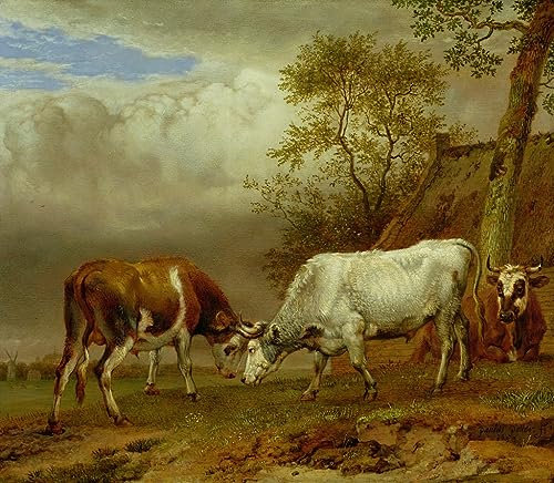 OuDeZjzhu Kunstdruck Leinwand Leinwanddruck Malerei Wandbilder auf Leinwand Zwei Tiere mit verschlossenen Hörnern von Paulus Potter WandgemäLde für Wanddekoration 60x90cm