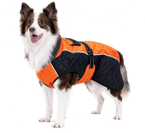 BECROWM Hundemantel mit reflektierendem Design, Winddicht und wasserdicht, verdickter Kragen für Windschutz, verstellbare Schnalle, warme Winterjacke (Orange/Schwarz, XS (43,2-50,8 cm))