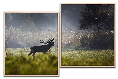 Paul Sinus Art Hirsch im Wald 130 x 90 cm (2 Bilder ca. 75x65cm) Leinwandbilder fertig im Schattenfugenrahmen NATUR Kunstdruck XXL modern