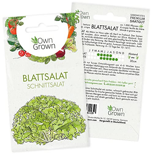 Blattsalat Samen: Premium Salat Samen zum Anbau von ca. 1000 Salat Pflanzen – Beste Schnittsalat Samen für Hochbeet und Garten – Salat Saatgut – Gemüse Samen Garten – Samen Gemüse Anzucht von OwnGrown