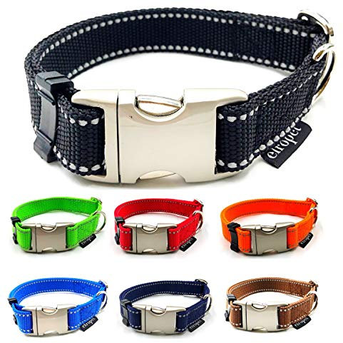 Hundehalsband reflektierend für kleine/mittlere/große Hunde verstellbar S - L/Breite 20mm oder 25mm (L 45cm - 70cm Beite: 20mm, Blau mit Reflektoren)