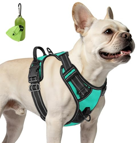 Joytale Anti-Zug Hundegeschirr für kleine Hunde, Türkis, S | Perfekter Sitz, gepolstert & reflektierend, 2 Anleinpunkte (vorne & hinten), Haltegriff für Treppen & Auto, für Training