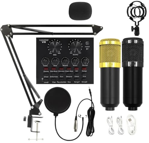 Set microfono per registrazione Set scheda audio live streaming, asta | Multiuso Set Completo per Studio Registrazione, Live Streaming, Telefono, PC, Laptop