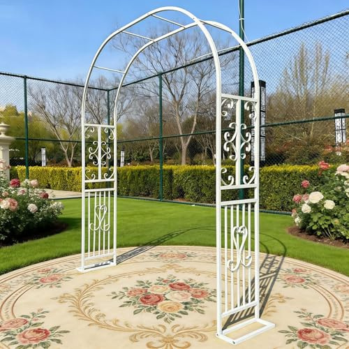 Dtyubfg Arche Métal Jardin,Arcade Mariage en Fer Revêtue de Poudre - Large 140cm 180cm 220cm 260cm 300cm 340cm pergola en Metal, Plantes Grimpante Terrasse Patio Arceau à Rosiers