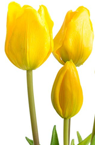 Nova-Nature künstliches Tulpenbündel mit 4 Tulpen und 3 Tulpenknospen real Touch (gelb)