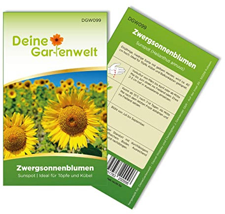 Zwergsonnenblumen Sunspot Samen - Helianthus annuus - Sonnenblumensamen - Blumensamen - Saatgut für 20 Pflanzen