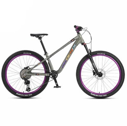 APWRDZYS Mountainbike Sport für Erwachsene, 26-Zoll Outdoor-Radfahren Fahrrad, 18-Gang, Rahmen Aus Aluminiumlegierung, MTB-Fahrrad mit Federgabel(Style2)