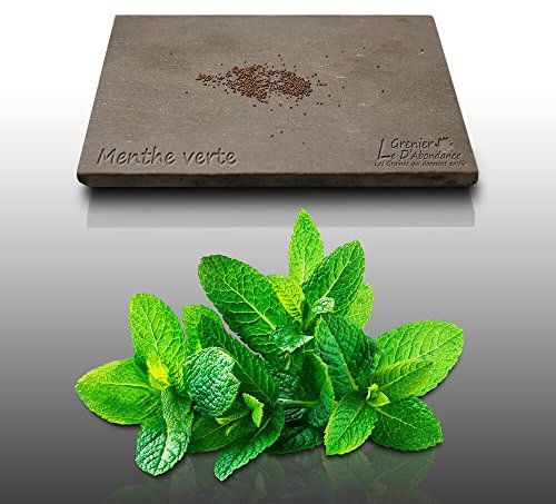 250 graines Aromatiques à semer - Le Grenier d'Abondance - MENTHE Verte - Mentha viridis