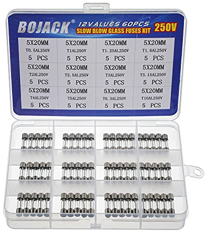 BOJACK 12 Values 60 pcs Slow Blow Glass Fuses Assortment Kit 5x20mm 250V T0.5A 1A 1.25A 1.6A 2A 2.5A 3A 3.15A 4A 5A 6.3A 10A packag in a Clear Plastic Box